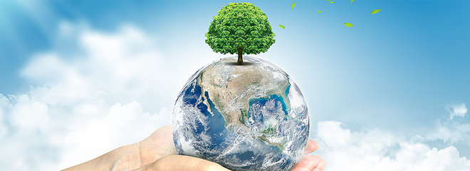 京澤港域環保科技