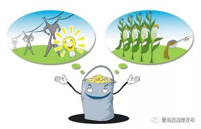 餐廚垃圾、大件垃圾如何處理?小宣來支招!(附垃圾清運熱線)_社會