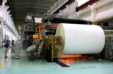 廣州多家紙企負責人曝集體失聯 凸顯行業兩極分化