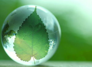 十三五環?？萍键c將專項 推動行業實現全方位跨越